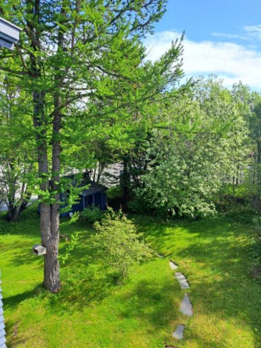 Selgers egne sommerbilde av hagen