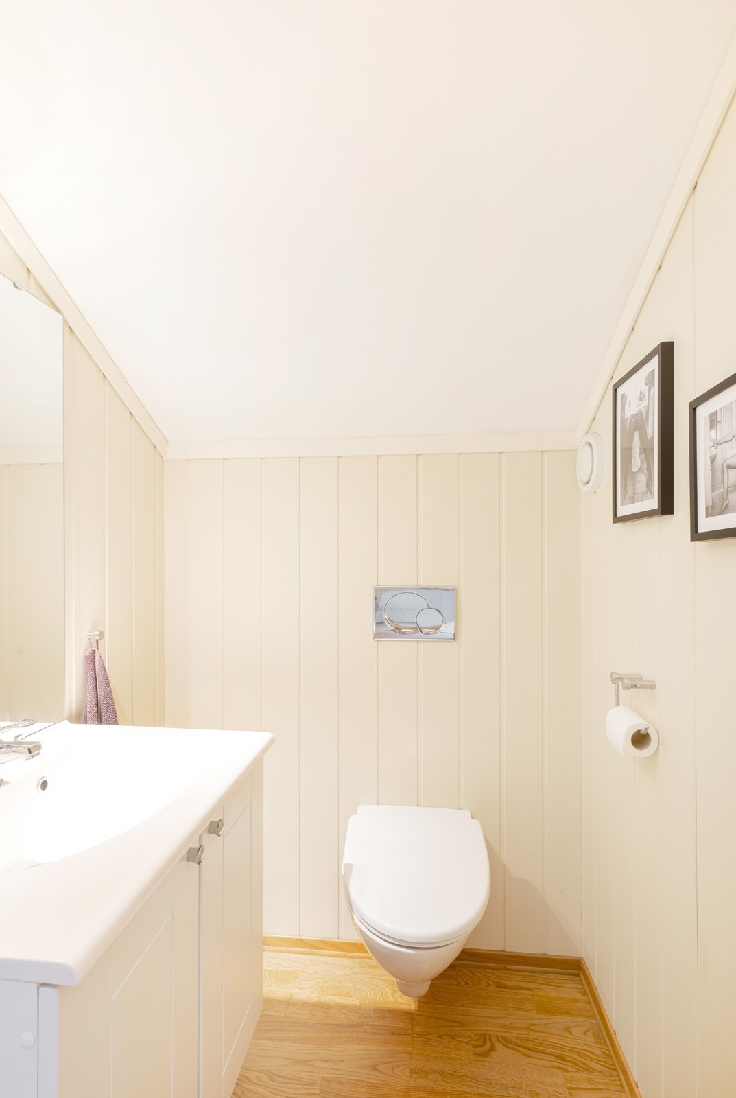 Gjestetoalett. Galleribilde