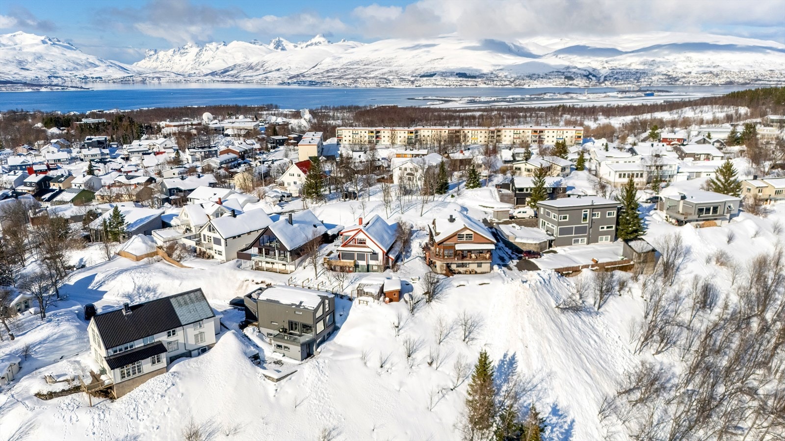 Kun 15min gange til sentrum, marka og flott rekreasjonsområder like i nærheten. Galleribilde