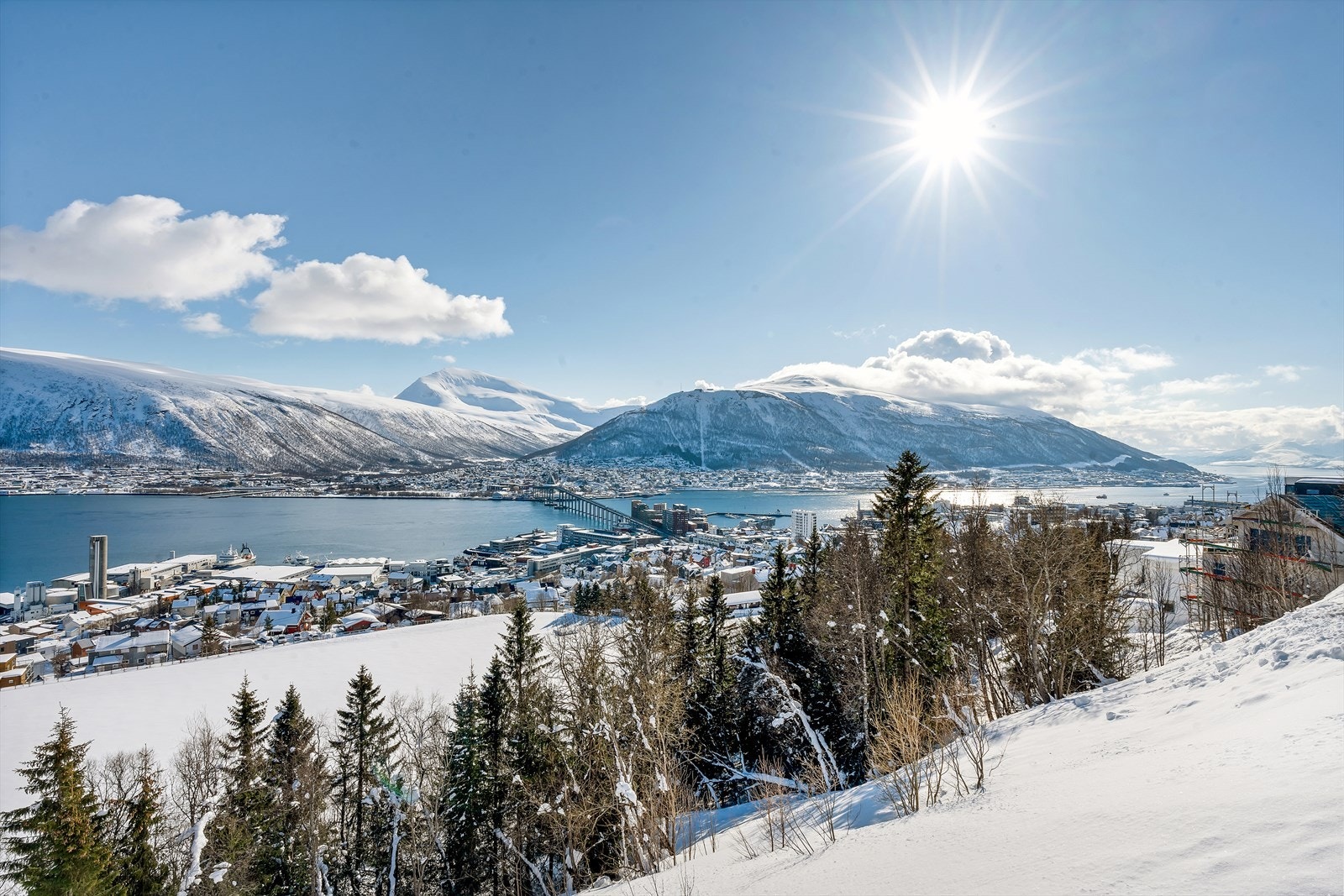 Fantastisk utsikt. Galleribilde