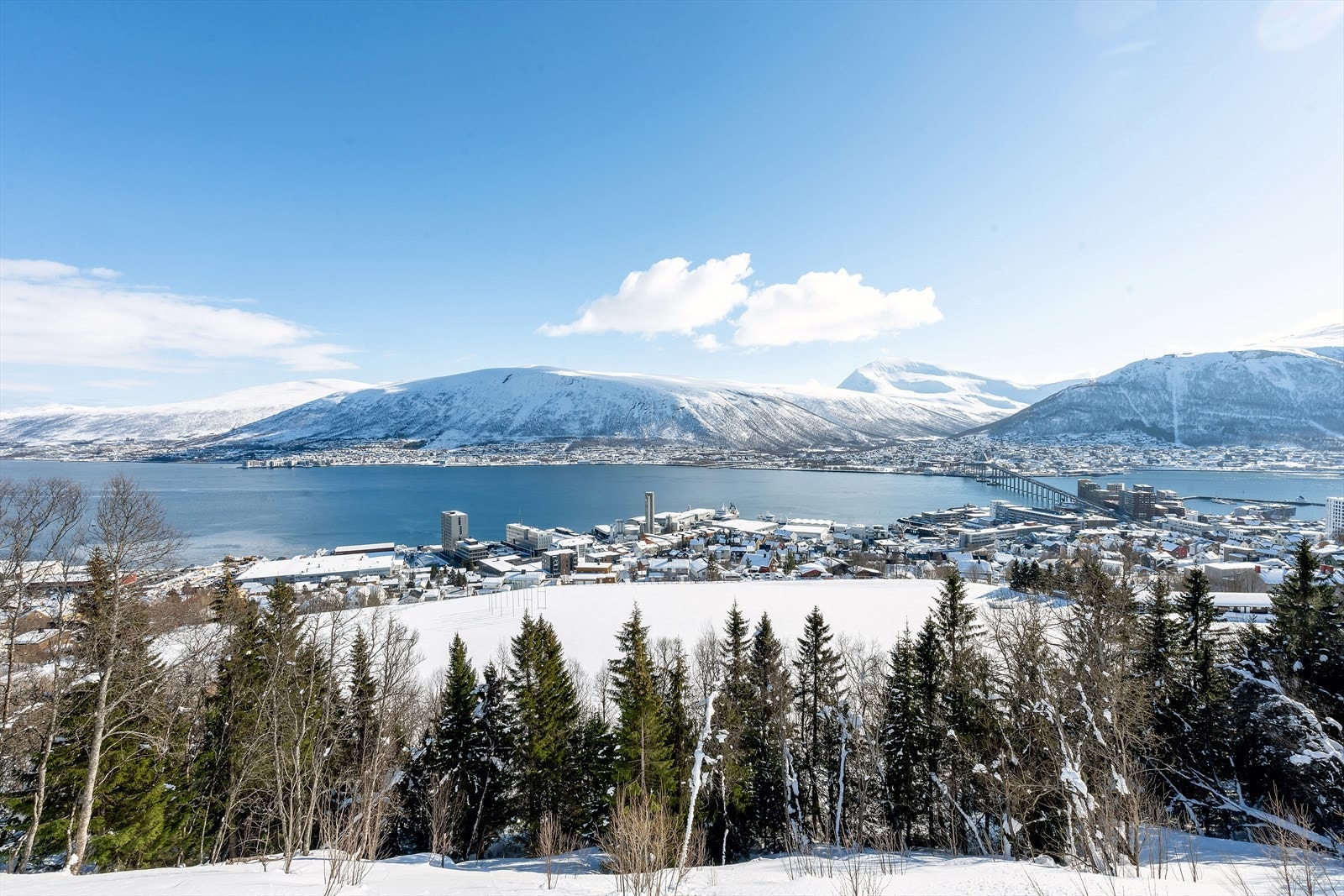 Sjekk utsikten. Galleribilde