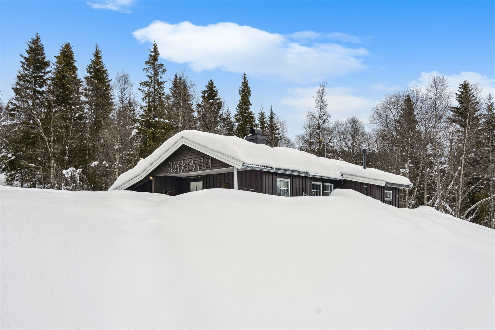 Velkommen til en hyggelig visning! Galleribilde