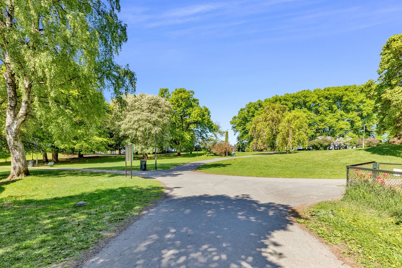 - Bjølsenparken - Galleribilde