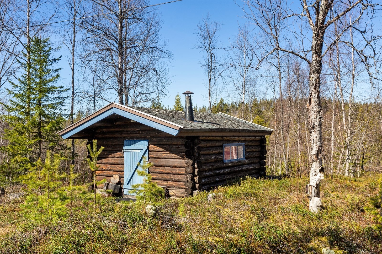 Blåbua er en enkel tømmerkoie som er brukt til overnatting. Folk som har fulgt Pilegrimsleden har overnattet her Galleribilde