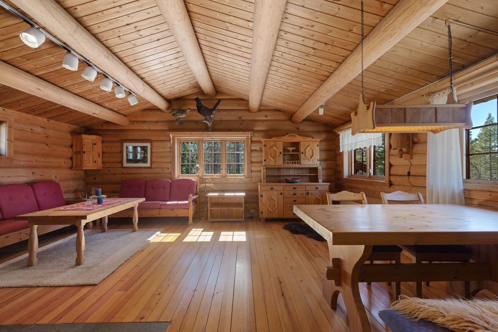 Stuen i hovedhytta med stor takhøyde Galleribilde