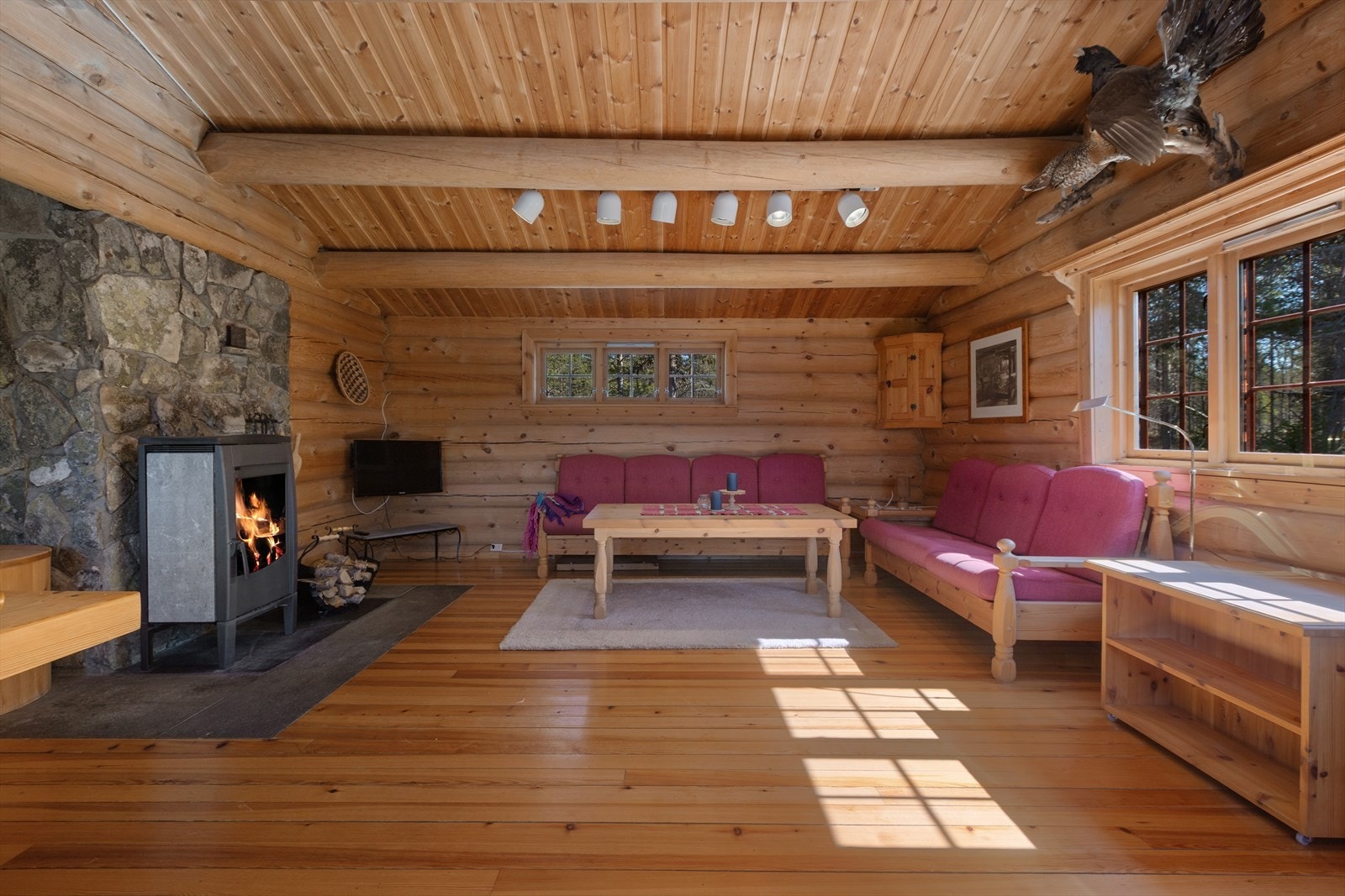 Hyggelig stue med peisovn Galleribilde