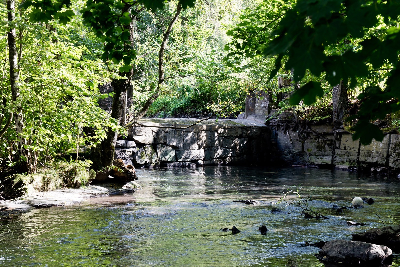 Oslos siste urskog (Svartdalsparken) ligger også rett ved boligen. Galleribilde