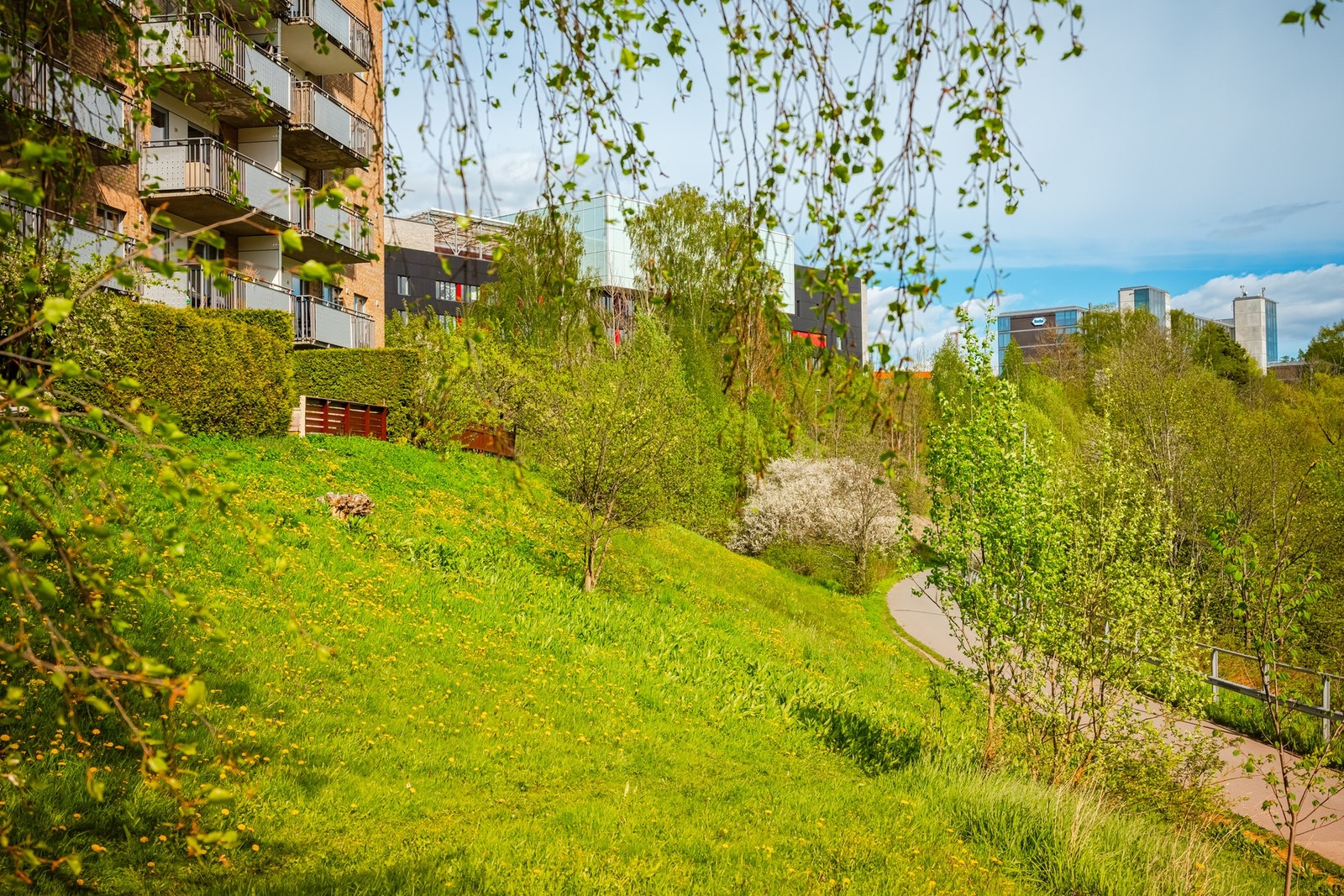 Fasade. Galleribilde