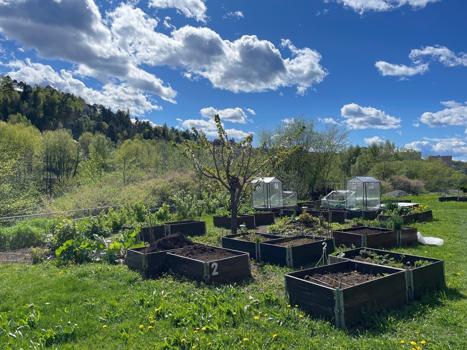 Plantekasser på fellesareal. Galleribilde