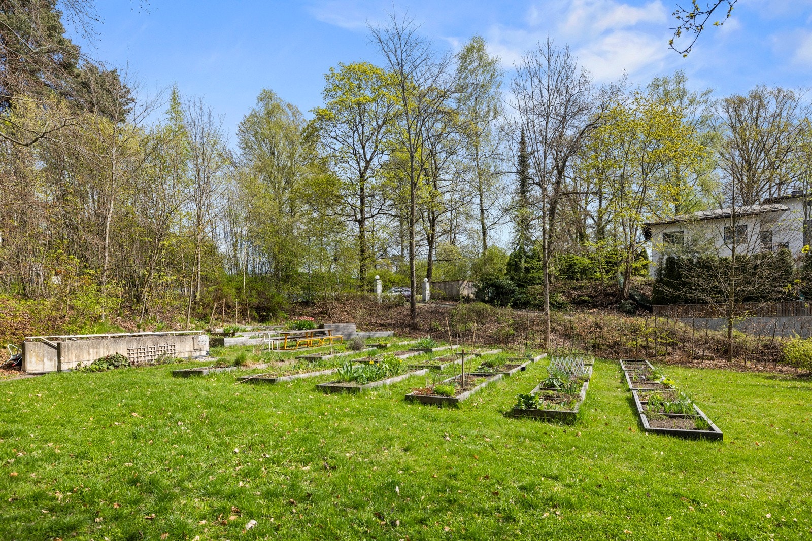 Parsellhager for Casinettos beboere. Ved interesse kontakter man styret Galleribilde