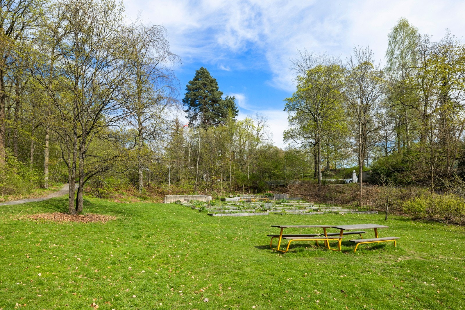 Parsellhager for Casinettos beboere. Ved interesse kontakter man styret Galleribilde