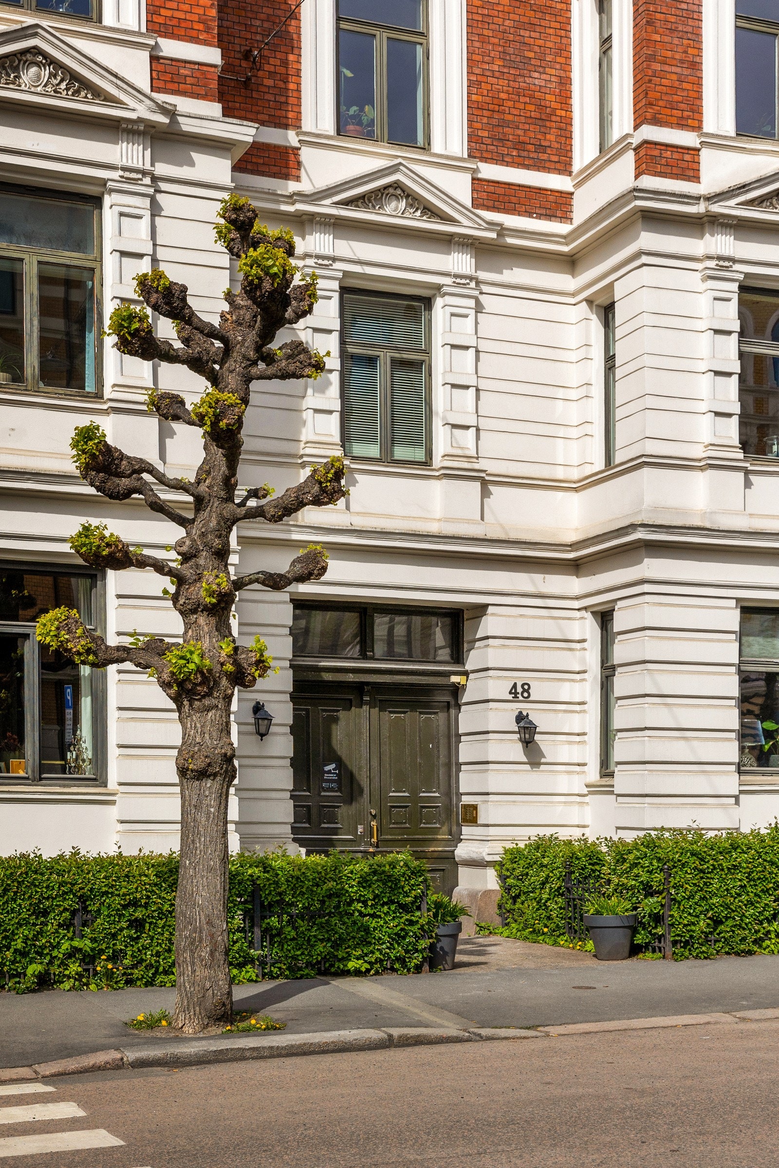 Bygdård fra 1899 Galleribilde