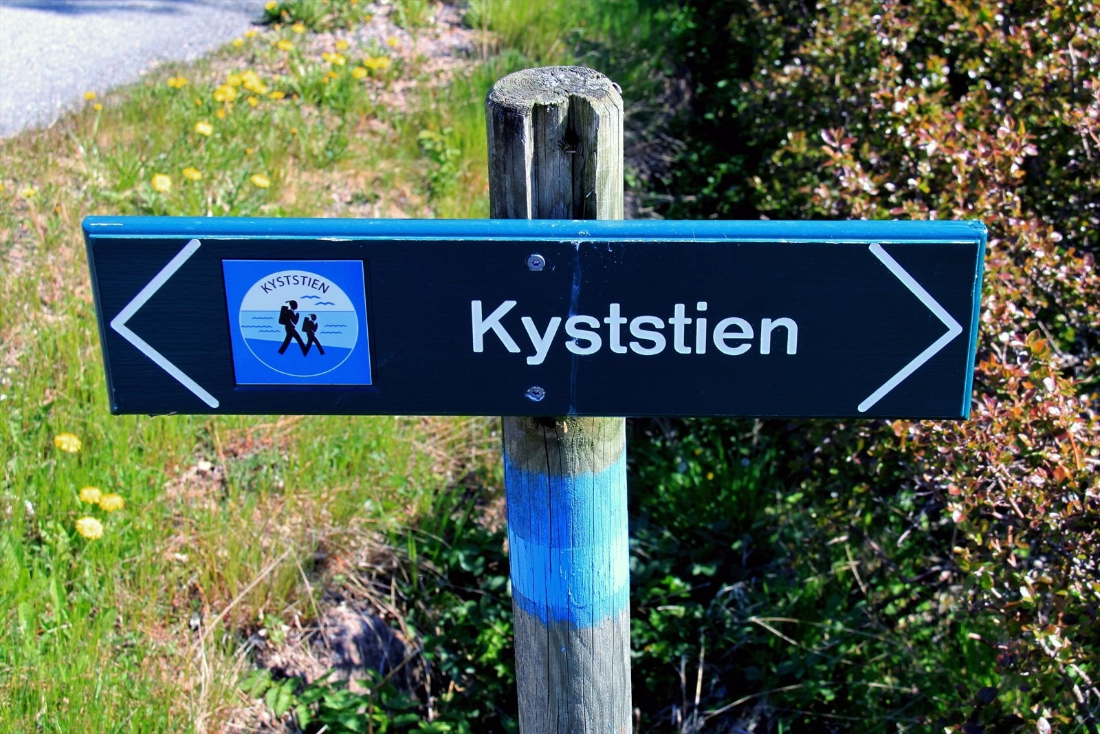 Turmulighetene er mange og den idylliske kyststien går i variert terreng med smale stier, langs badestrender, svaberg, i skog og langs brygge. Turen kan strekke seg hele veien til Berger, Sande og Holmestrand Galleribilde