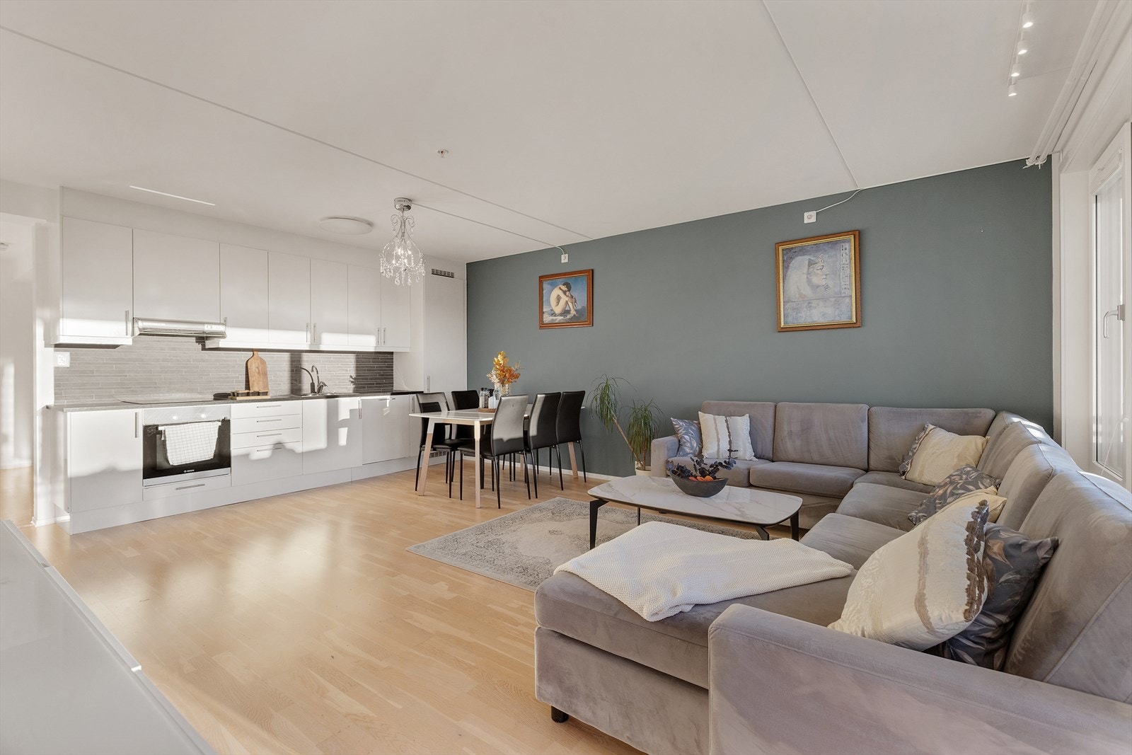 Mange møbleringsalternativer i stuen. Galleribilde