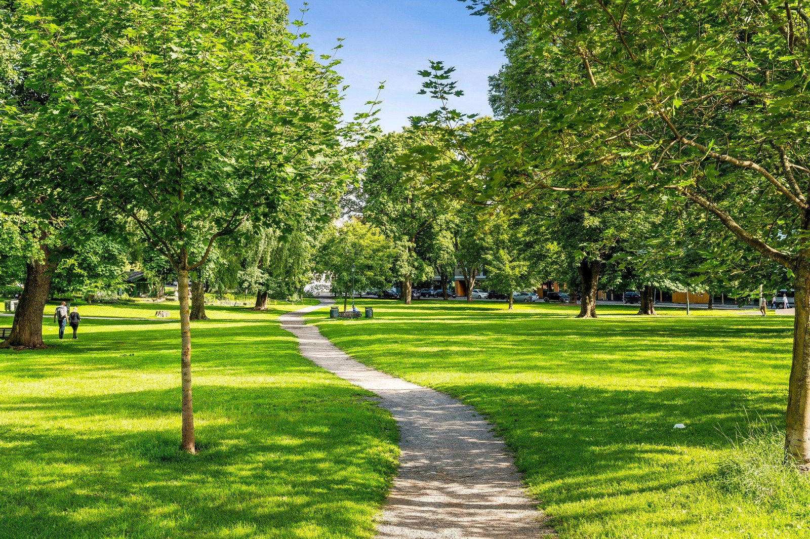Sofienbergparken byr på store grøntområder. Galleribilde