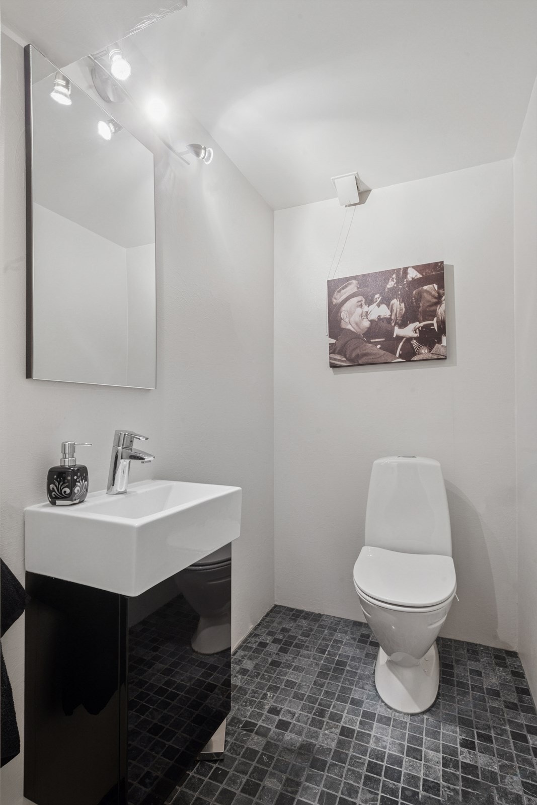 Toalettrom. Galleribilde