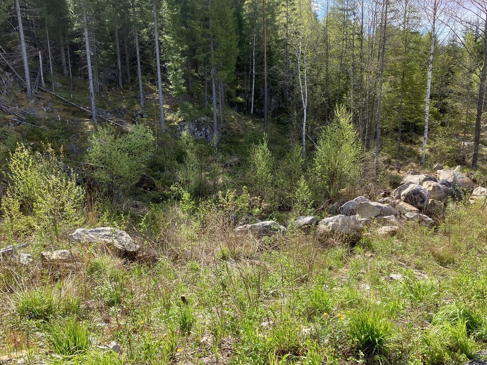 Hyttetomten er av fin størrelse på hele 2 0503,7 m2. Galleribilde