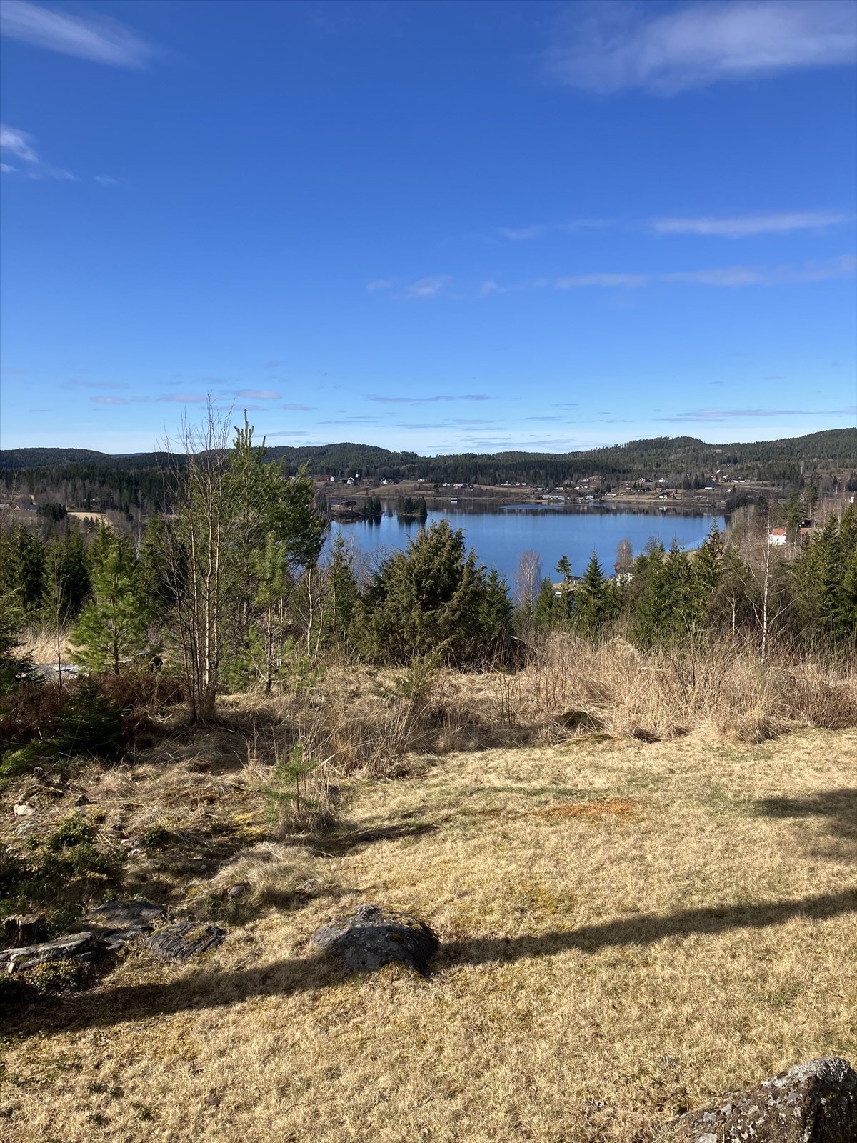 Områdets har en idyllisk beliggenhet med nærhet til vannet. Galleribilde