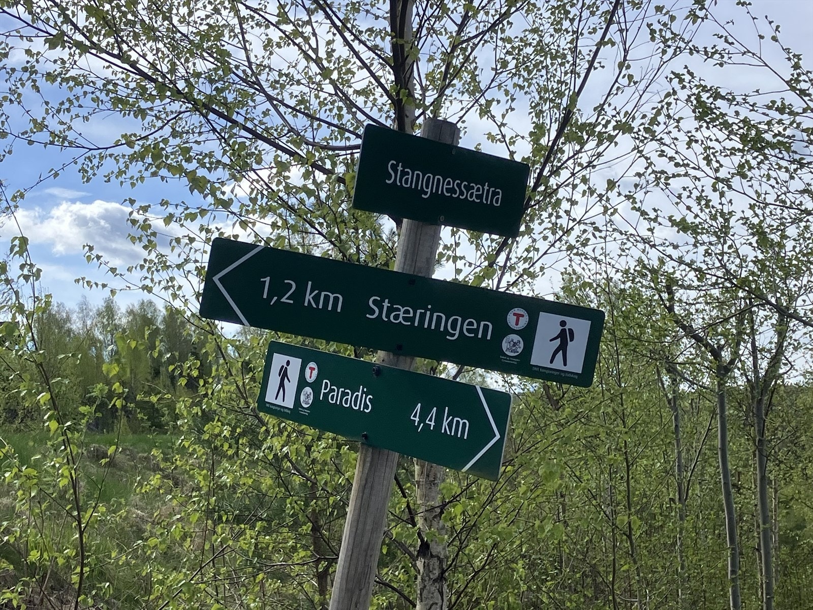 Turmulighetene er mange og ligger like utenfor din fremtidige fritidseiendom. Galleribilde