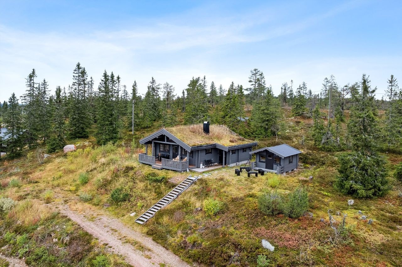 Parkering på tomt med trapp opp til hytta. Galleribilde