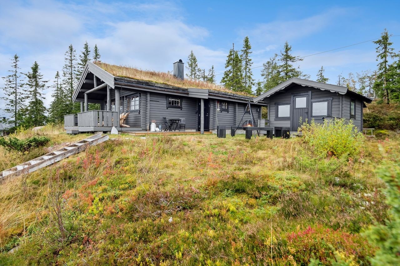 Velkommen til Ryskdalen hytteområde 230! Fritidseiendom med hytte og anneks. Galleribilde