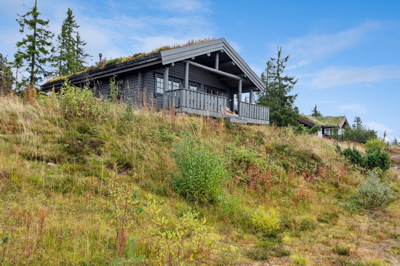 Fasade mot sydvest Galleribilde