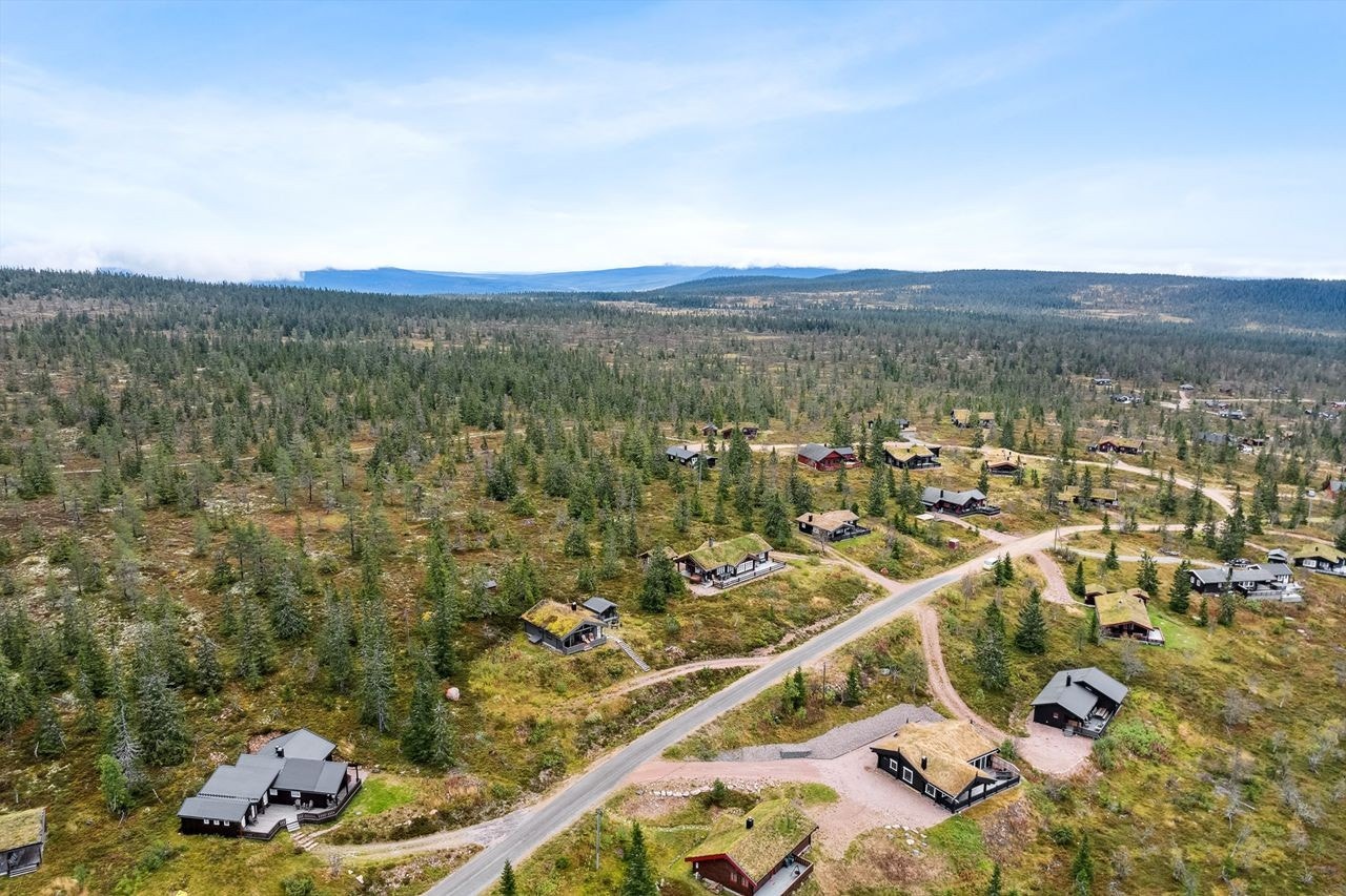 Umiddelbar tilgang til friområder. Galleribilde