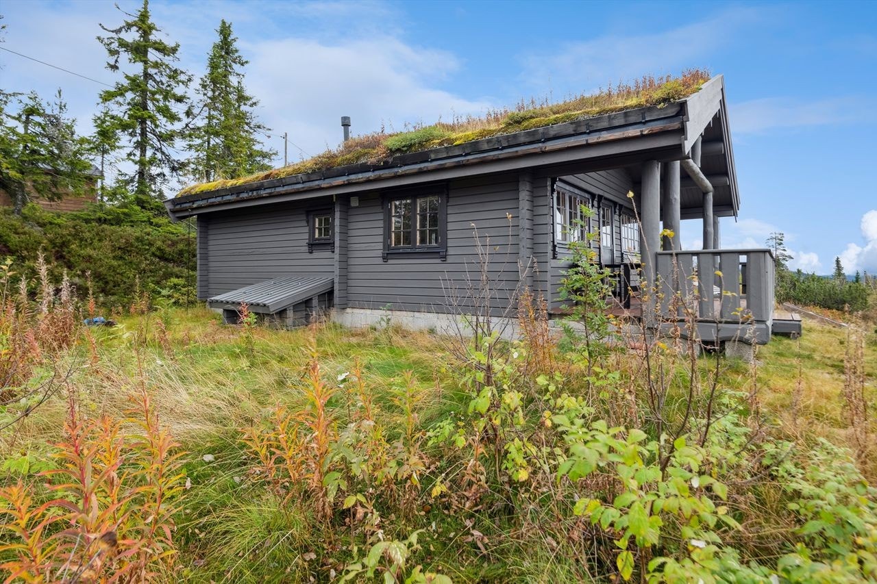 Hytta ligger på en fin naturtomt med stedegen vegetasjon. Galleribilde