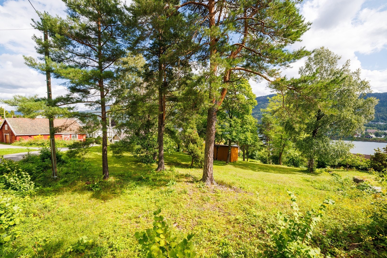 Øvre del av tomten Galleribilde