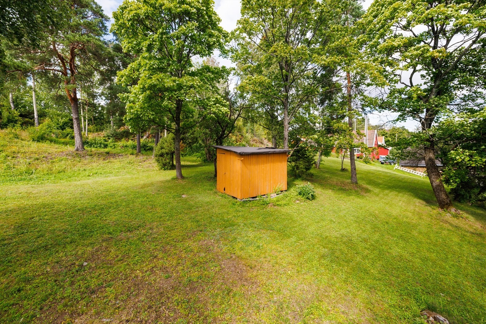 Plen og naturtomt Galleribilde