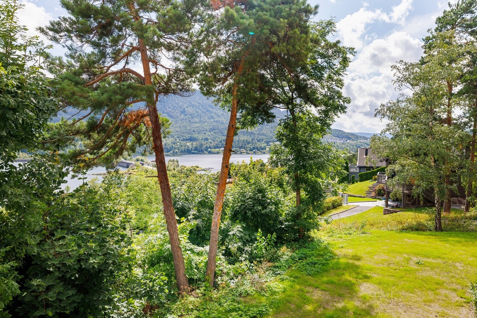 Om det er trær som stenger for utsikten ligger de på egen tomt ........... Galleribilde