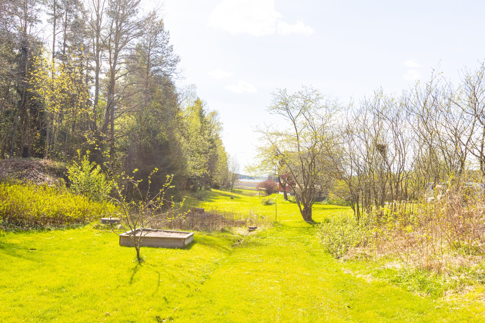 Trädgården Galleribilde