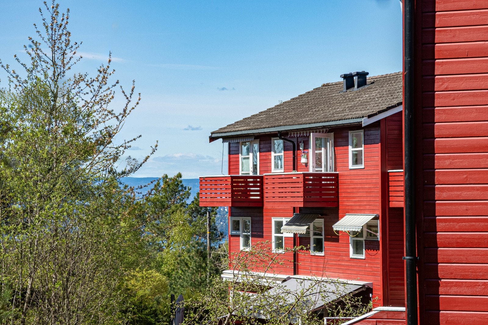 Usjenert beliggenhet. Galleribilde