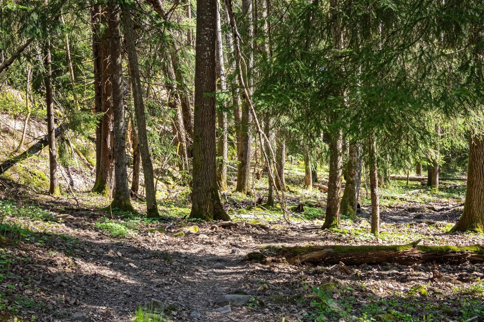 Friareal utefor leiligheten. Galleribilde