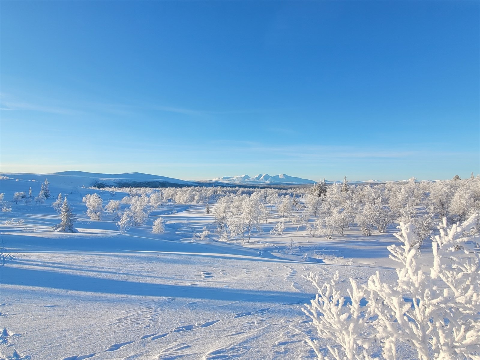Fra eiendommen er det kort vei opp til fantastiske områder som er velkjente for sine nydelige omgivelser, utsikt og flotte skiløyper! Selgers eget bilde. Galleribilde