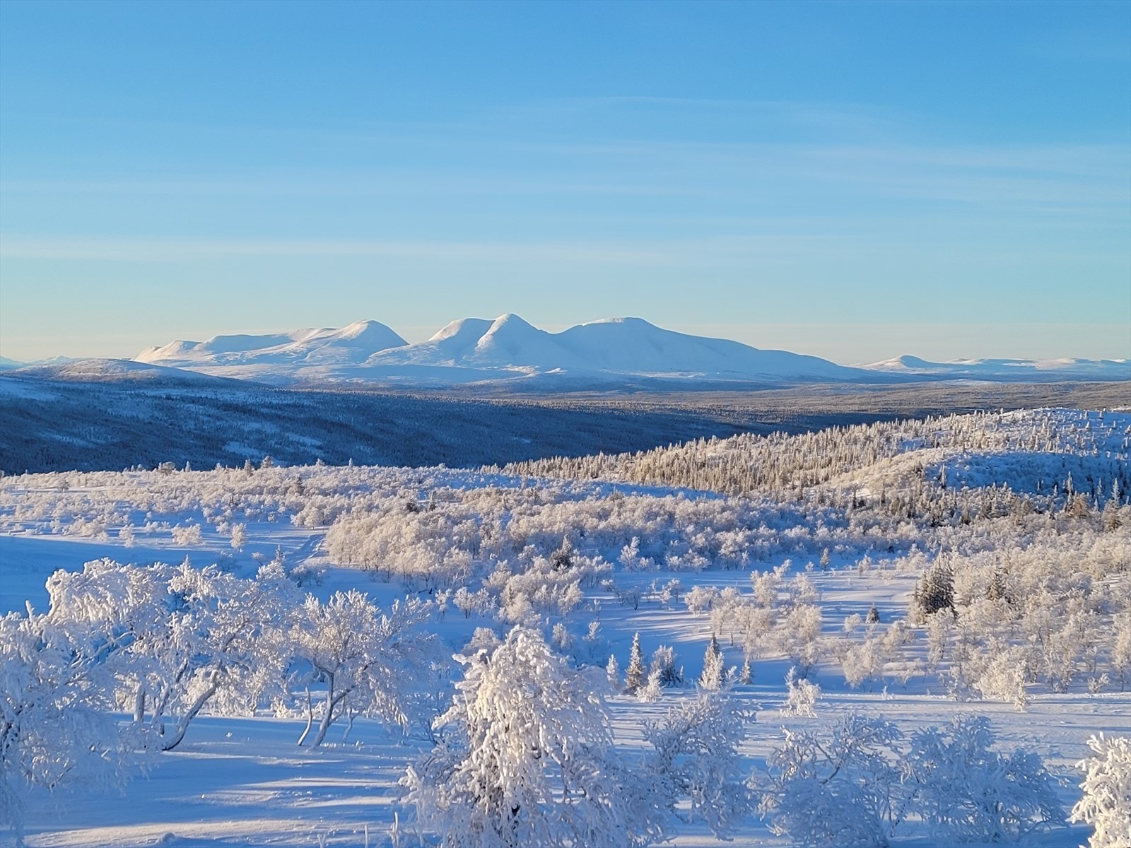 Fantastisk utsikt mot Sølen, sett fra området ovenfor hytteområdet en kald vinterdag. Bilde tatt av selger. Galleribilde