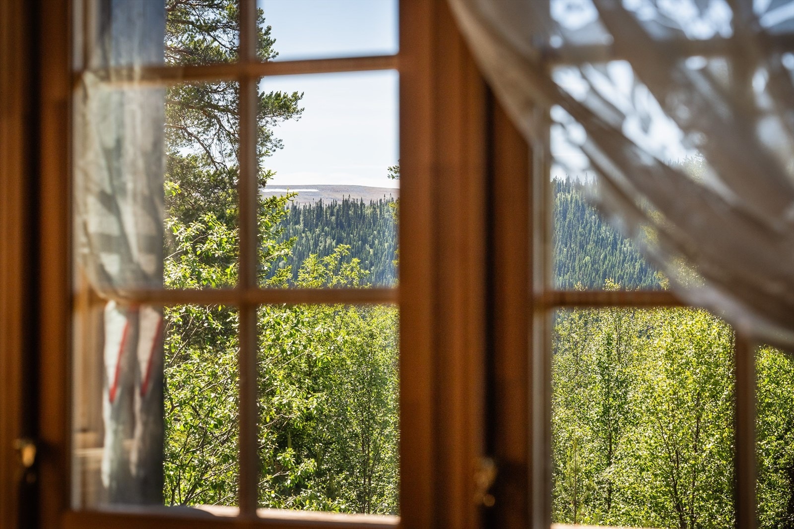 Flott utsyn i retning Storhøa fra spisestuen. Galleribilde