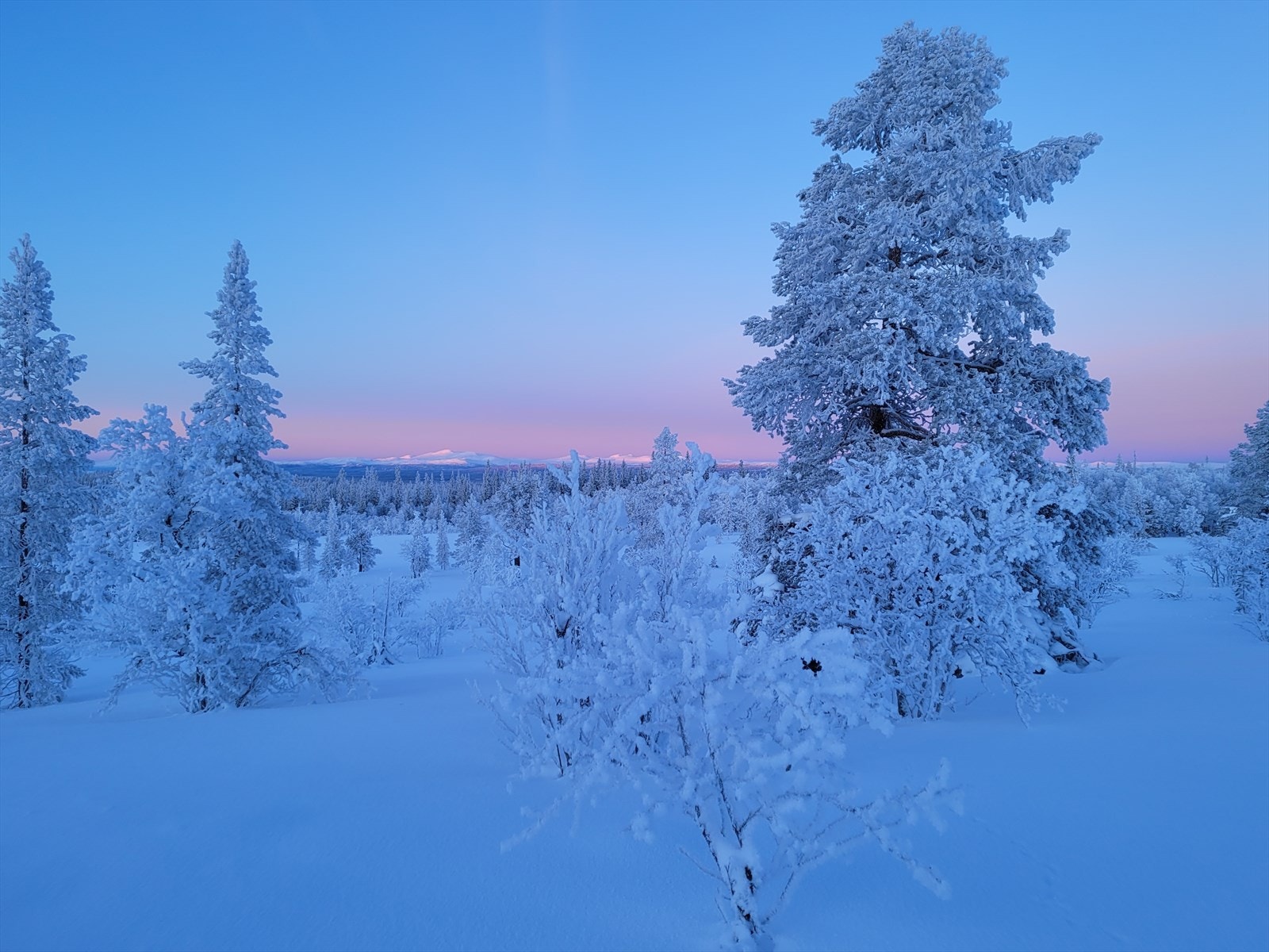 Magisk vinterlys som nesten kan ta pusten fra en! Bilde tatt av selger. Galleribilde