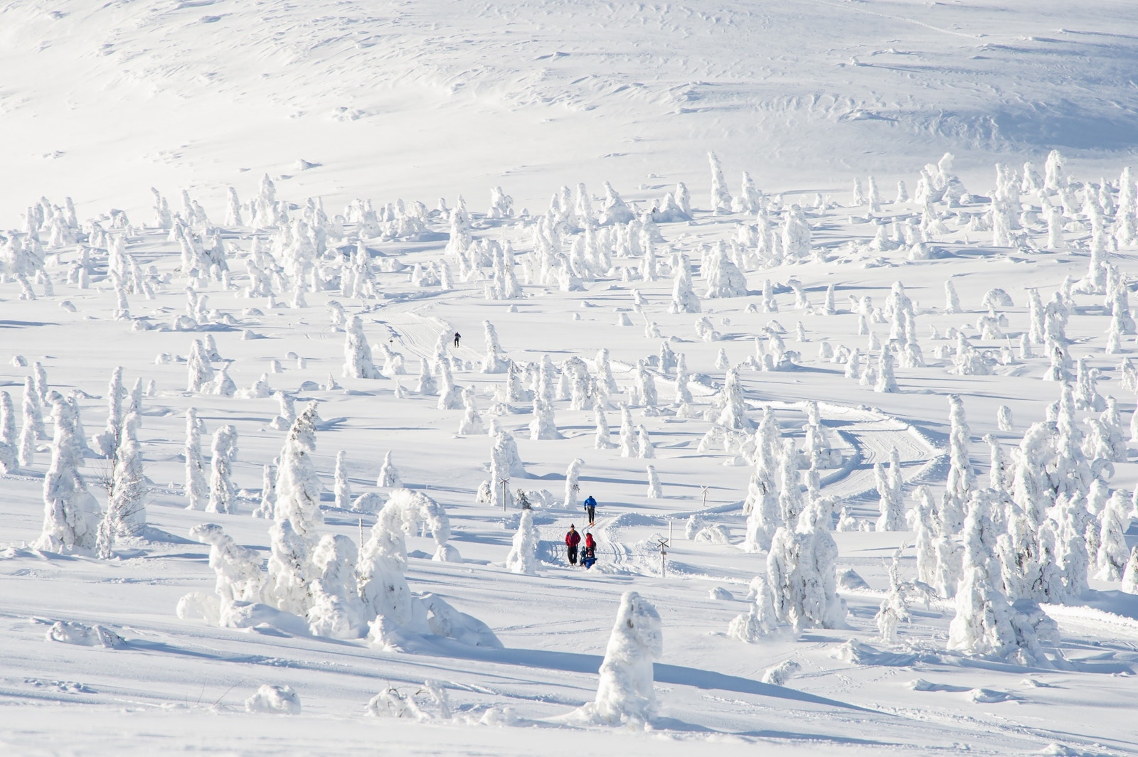 Langrenn i høyfjellet. Galleribilde