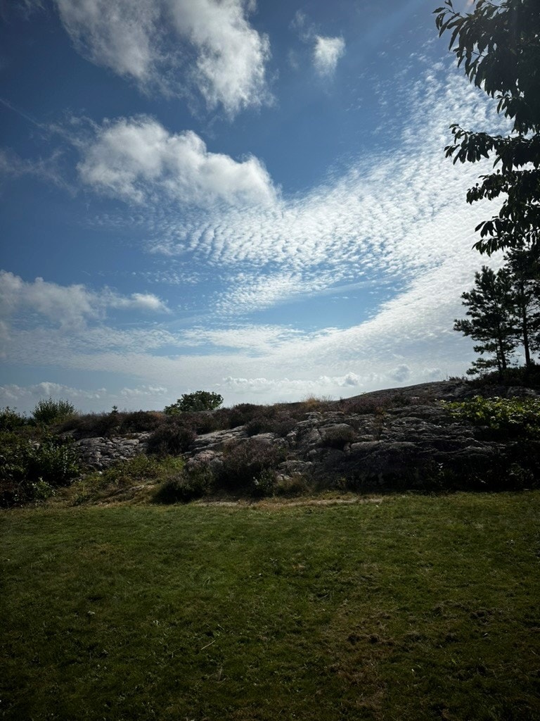 Stemingsbilde Galleribilde