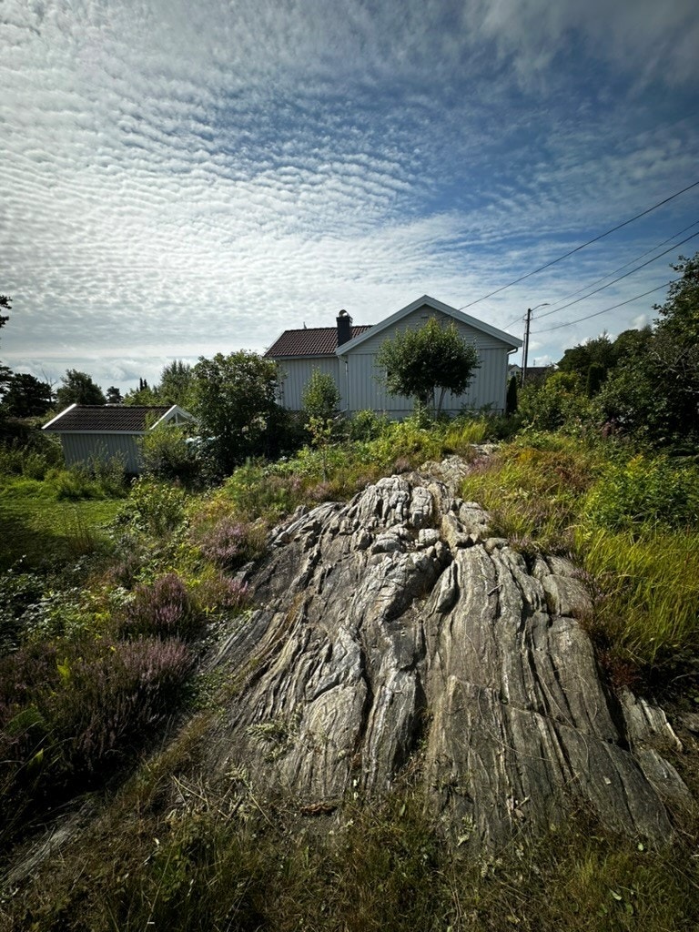 Fin naturtomt med knauser og knatter Galleribilde