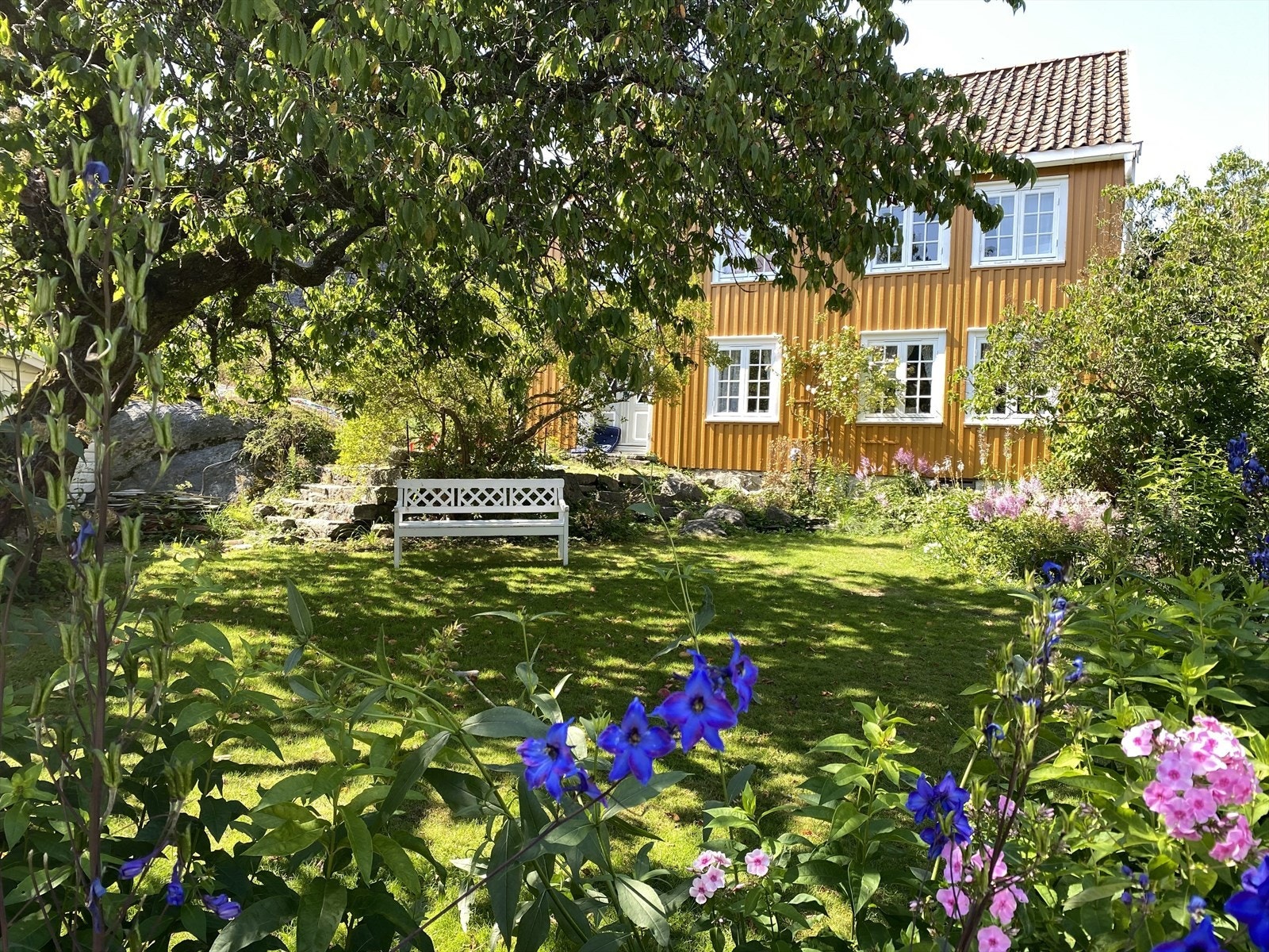 Bilder fra området Galleribilde