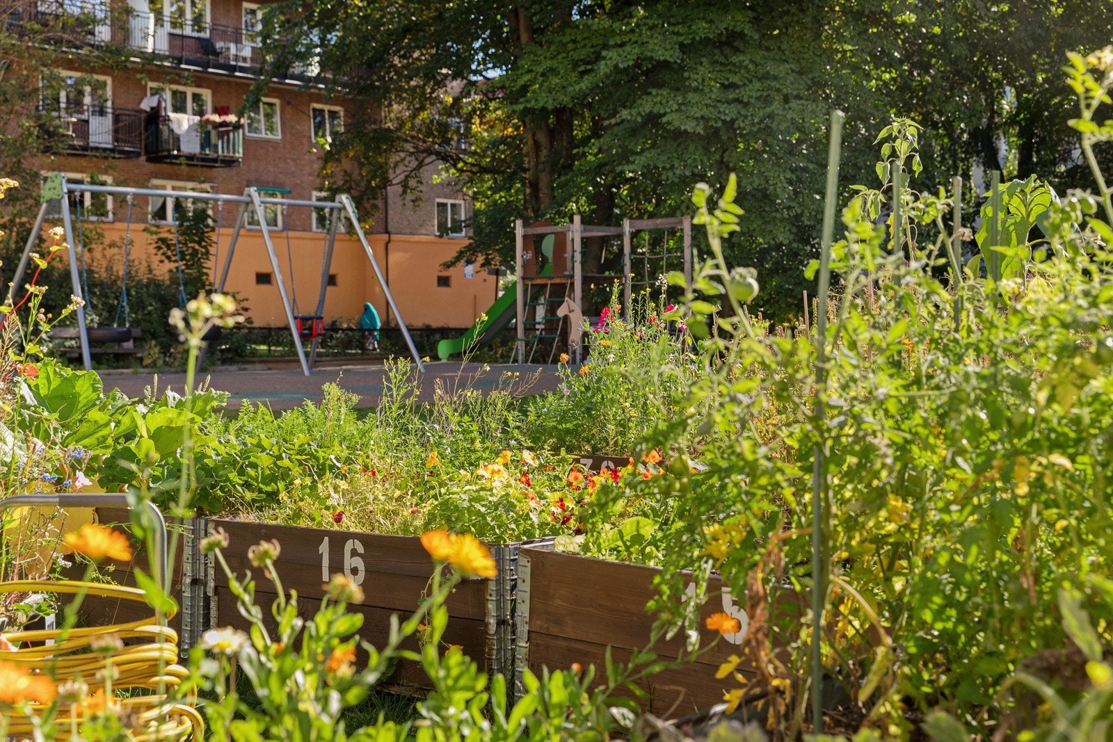 Grøntområde Galleribilde