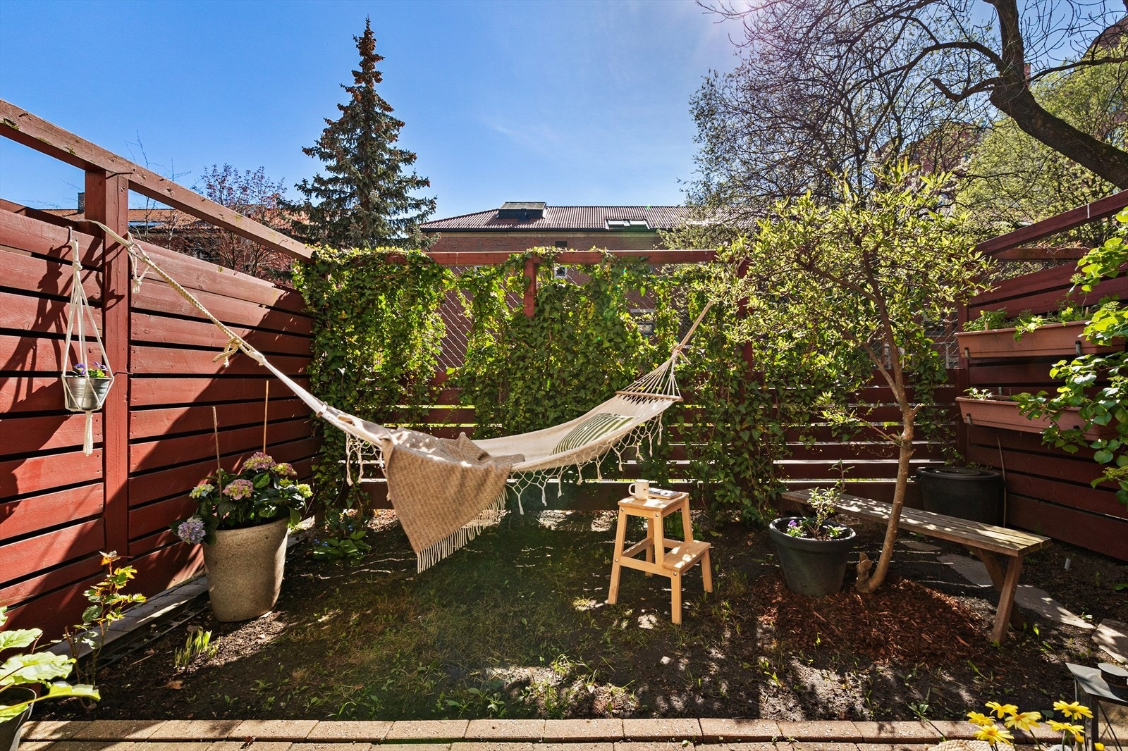 Høy, usjenert inngjerding med grønne planter, plen og trær Galleribilde