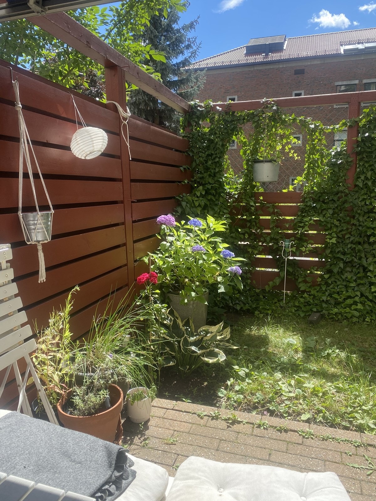 Grønn og skjønn hage Galleribilde