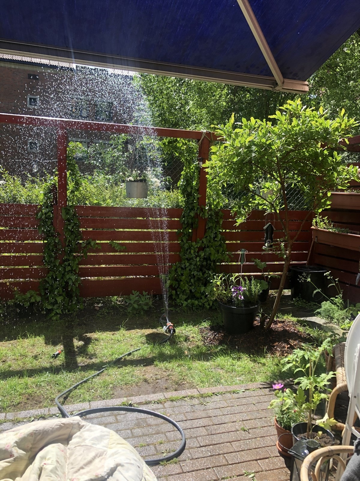 En varm sommerdag med vanning av egen hage Galleribilde