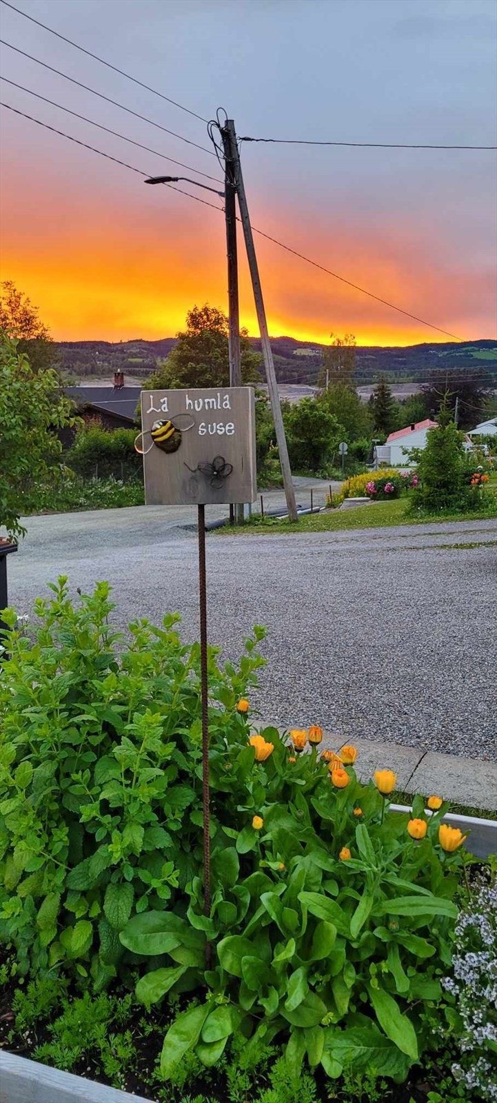 Bildet tatt av selger. Galleribilde