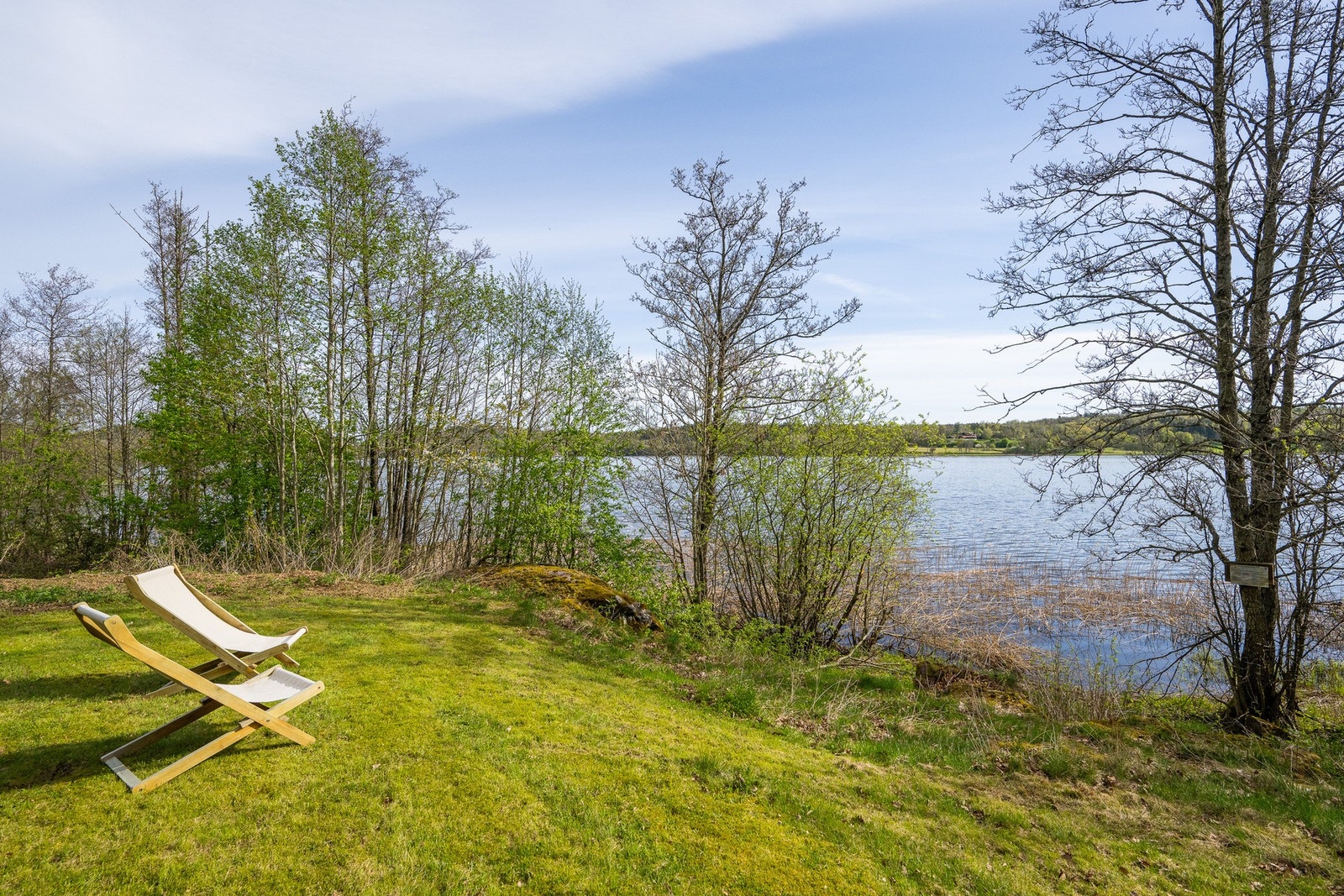 Den store tomten på 4,2 mål har flere soner og er en flott tomt for både lek og rekreasjon Galleribilde