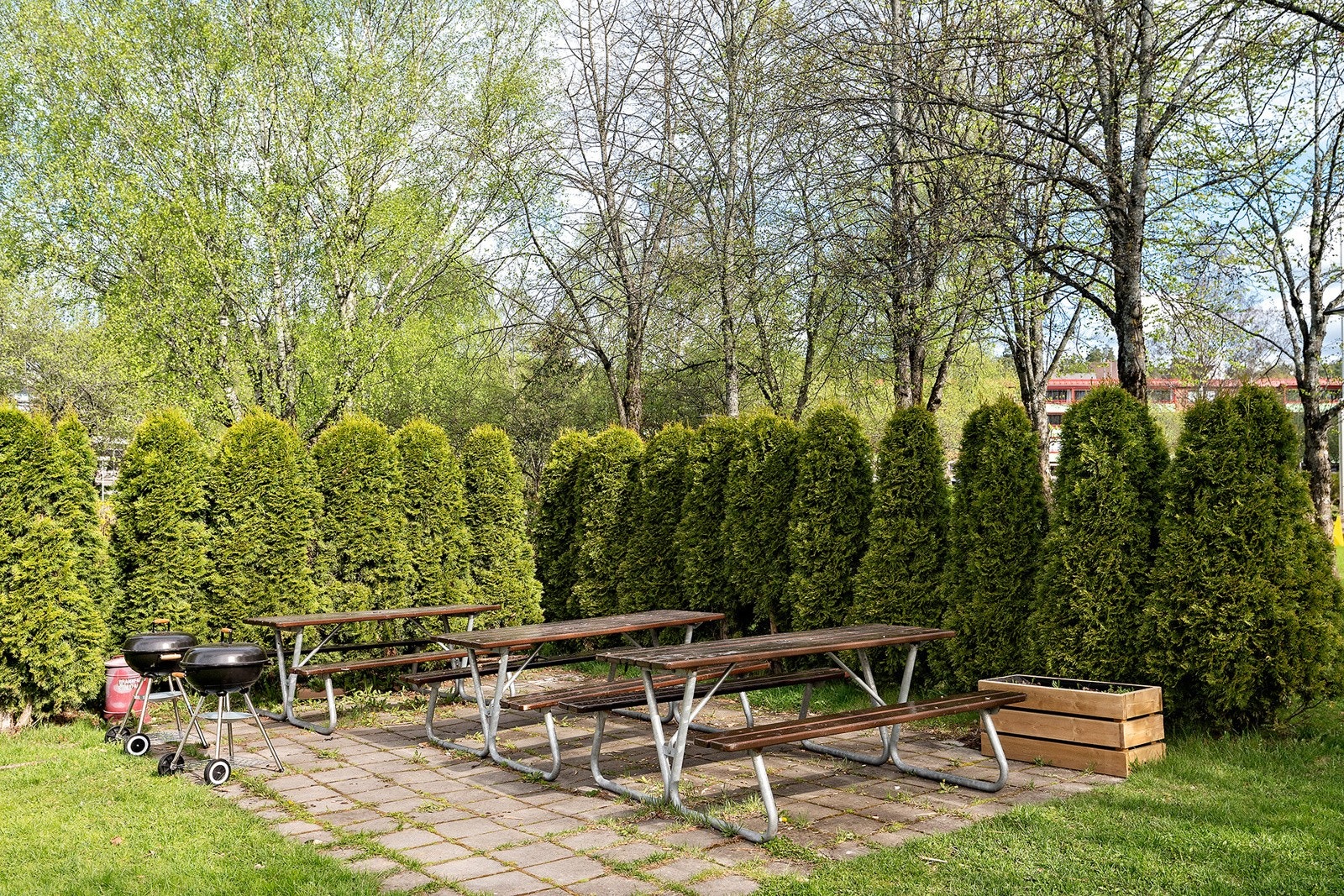 Borettslagets uteområder. Galleribilde