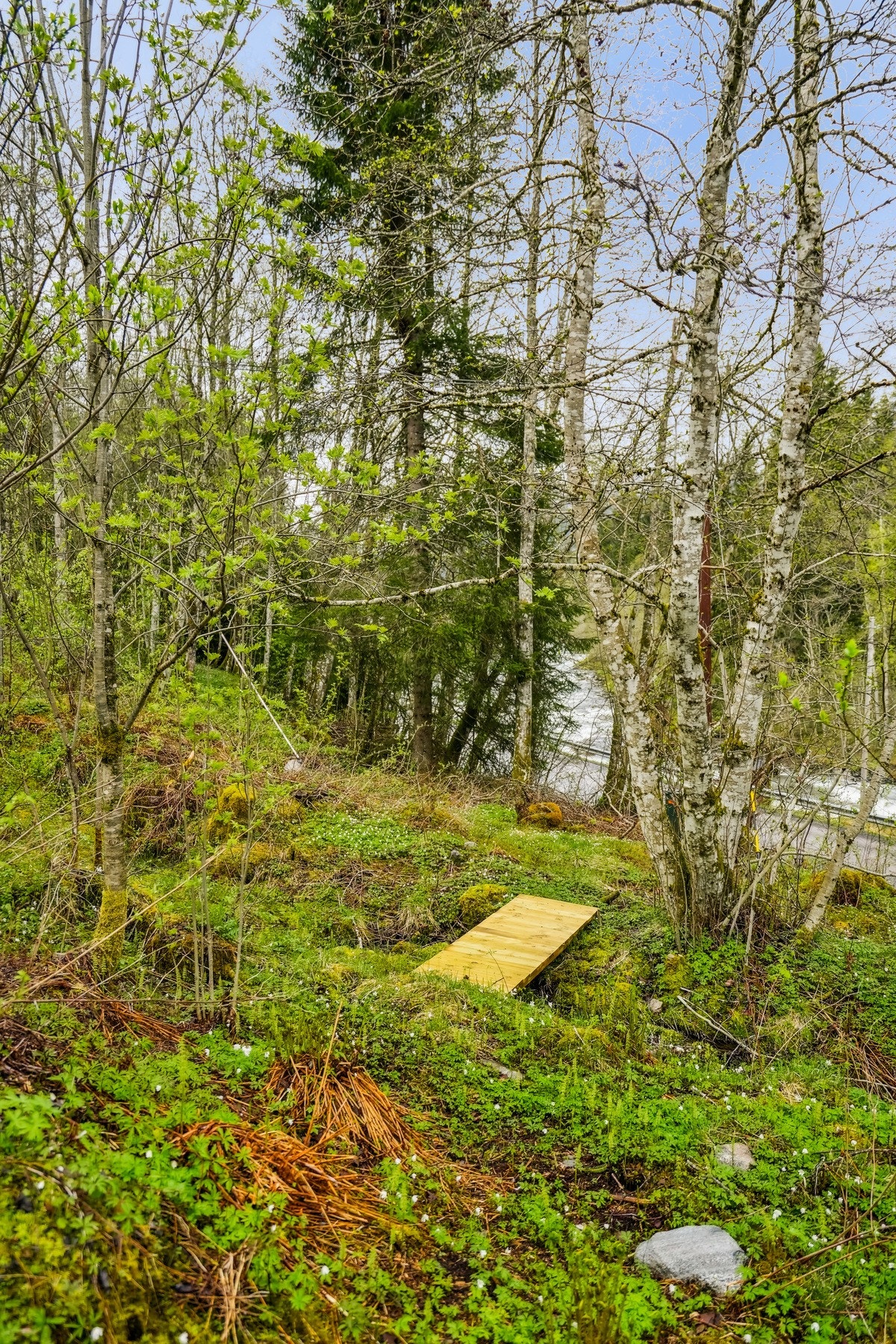 Dagens eier har bygget en liten bro som fører videre til en flott tursti som tidligere har vært en traktorvei. Galleribilde